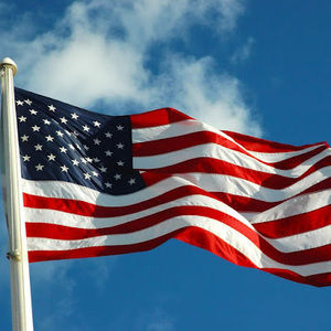 Meet your Posher, Will